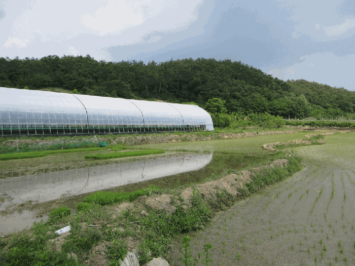 본건 전경