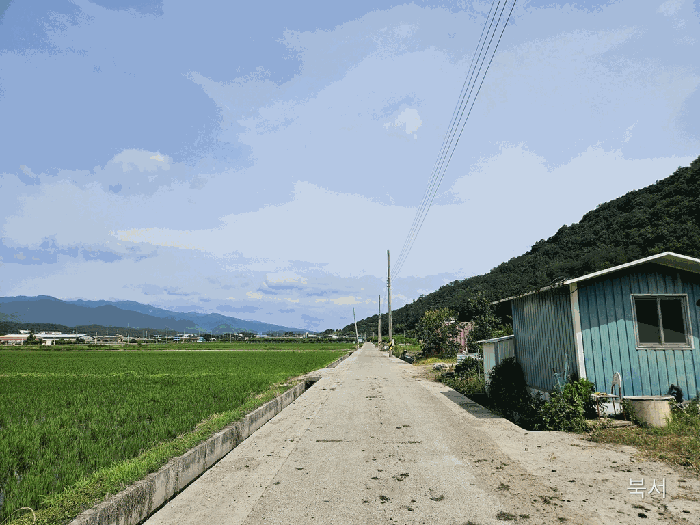 본건 인근 전경(본건 북서측)