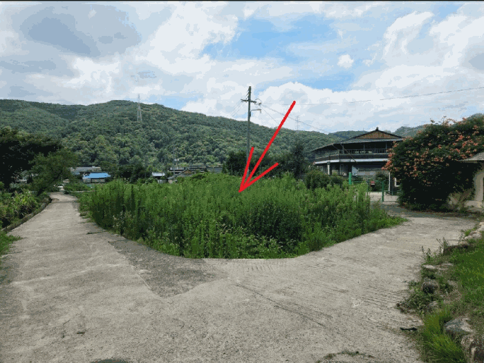 본건 주변 전경