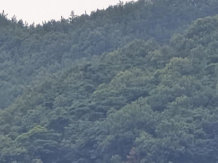 2025타경8560