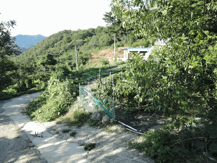 기호(2) 전경