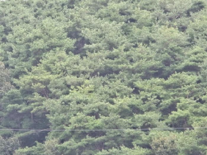 경북 영천시 화산면 효정리 120.