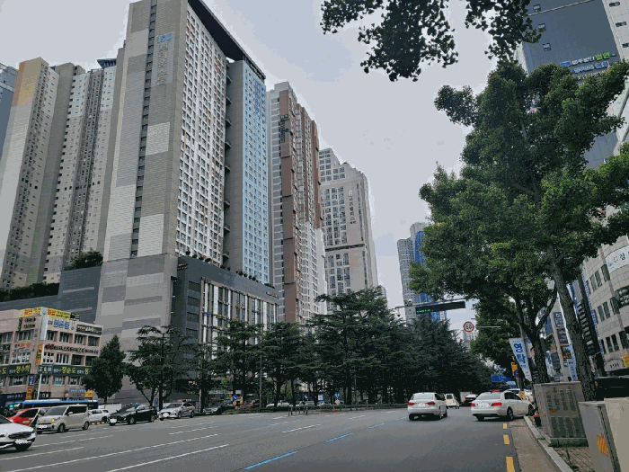 본건 소재 건물동 서측 도로 전경