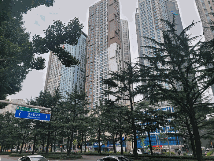 본건 소재 건물동 전경
(남서측 인근에서 촬영)