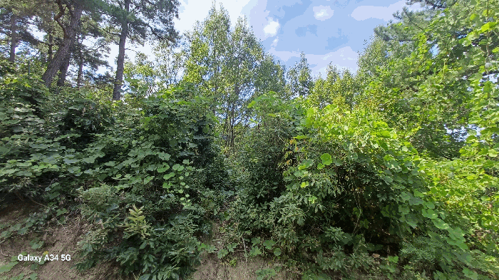 일련번호 2