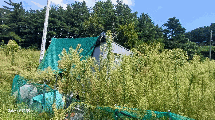 일련번호 1 소재 콘테이너