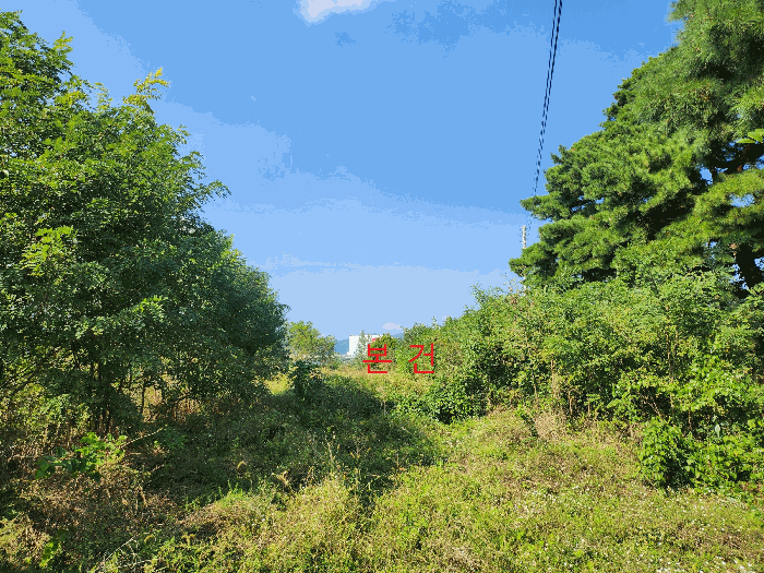 본건 전경(남측에서 촬영)