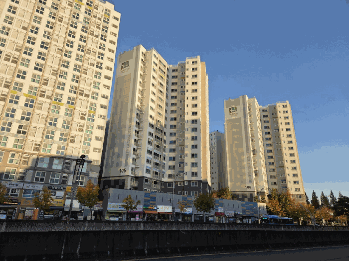 동전경