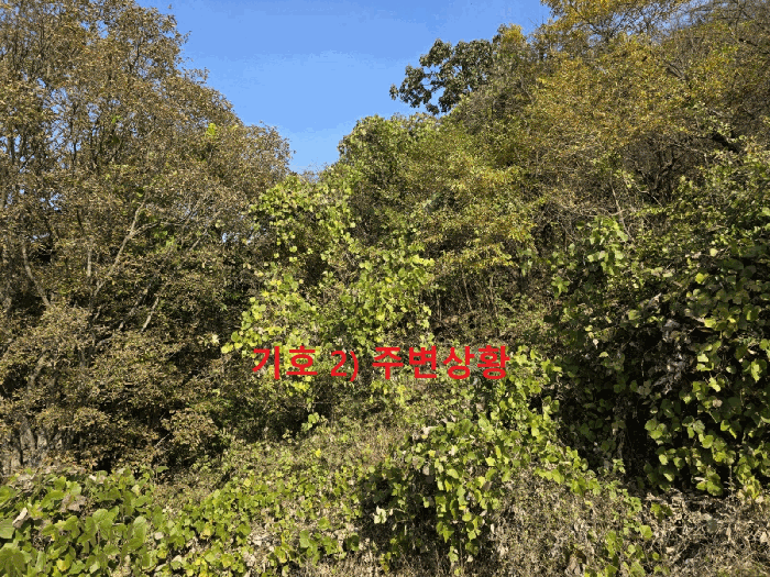 2025타경9478[1]