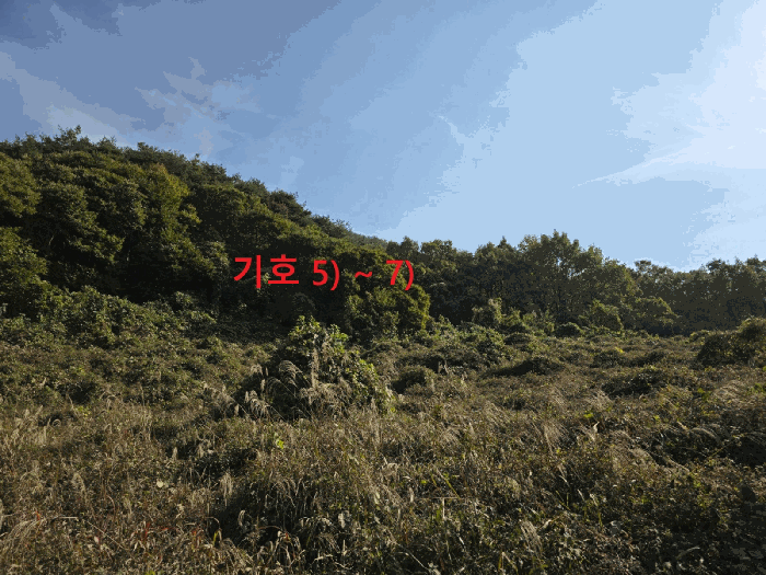2025타경9478[1]