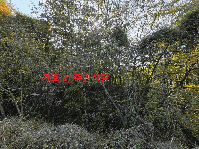 2025타경9478[1]