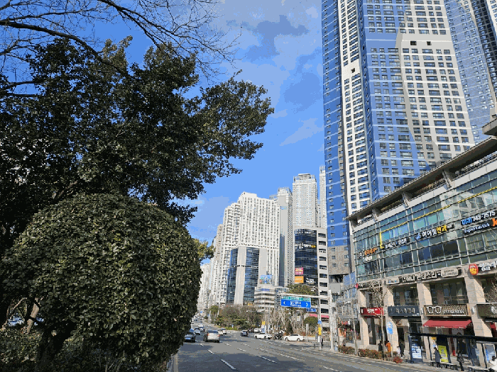 본건 아파트(#101동)및 주위환경