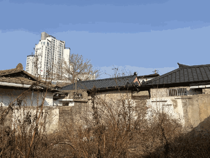 본건 전경
