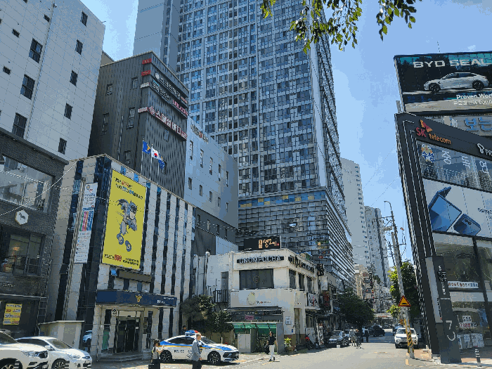 북측 도로변 전경