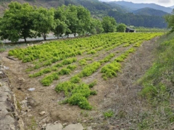 2024타경750[2]