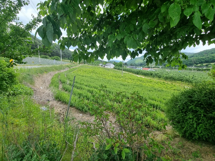 2024타경750[2]