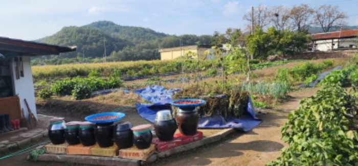기호8번 전경