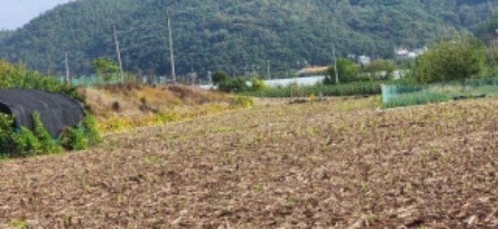 기호1번 전경