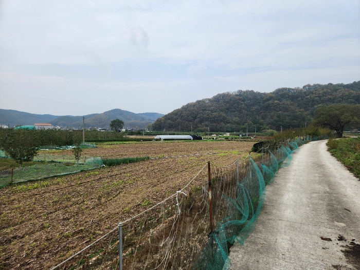 본건(1)-(4)(남동측)