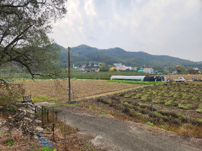 본건(2)-(4)(북동측)