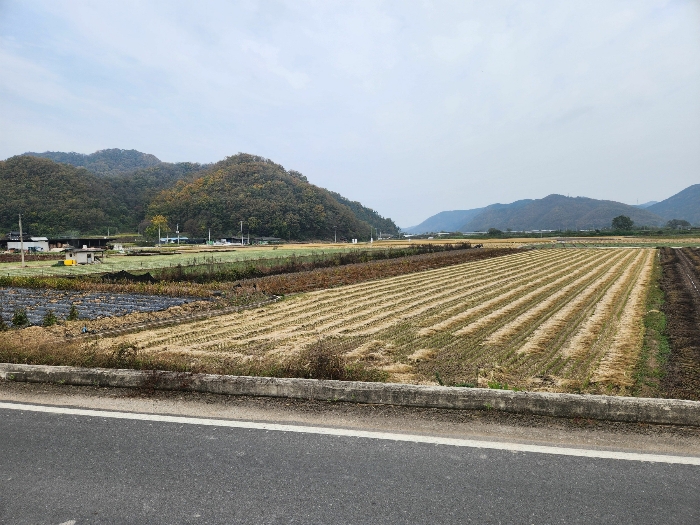 본건(5)-(7)(남서측)