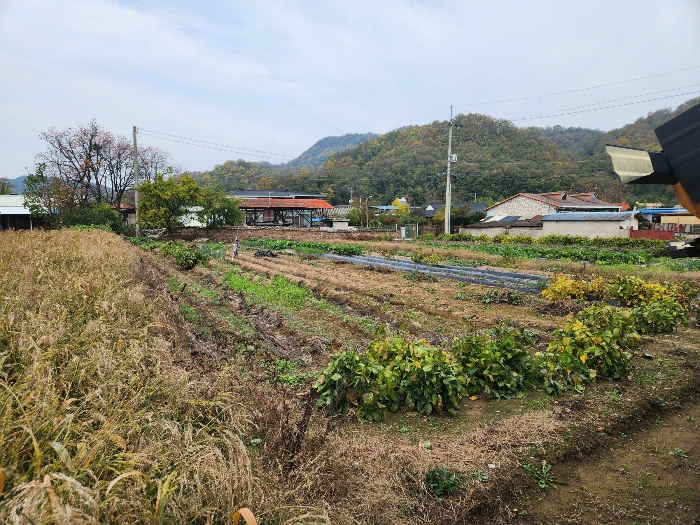 본건(8)(남서측)