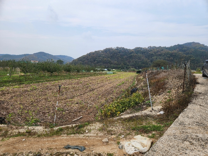본건(1)(남동측)