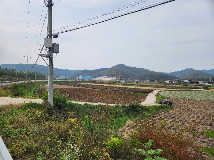 본건전경(5)-(7)(남동측).