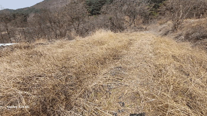 일련번호 3) 동측 부분