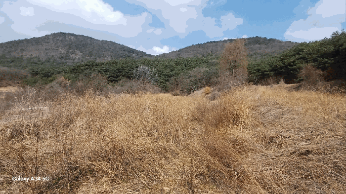 일련번호 2) 남측 촬영