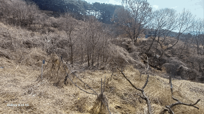 일련번호 5) 북측 촬영