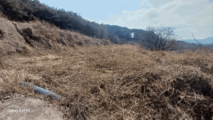 일련번호 1) 북측 촬영