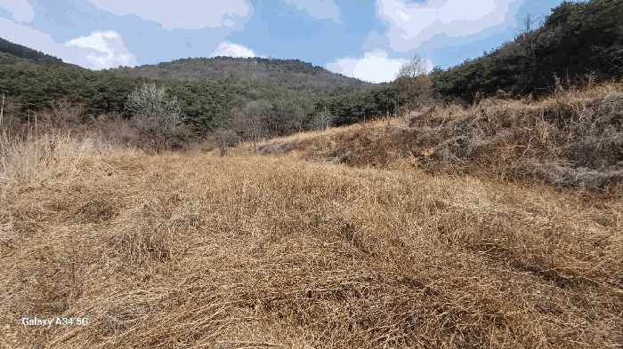 일련번호 4) 남측 촬영
