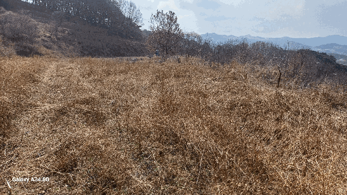 일련번호 4) 북측 촬영