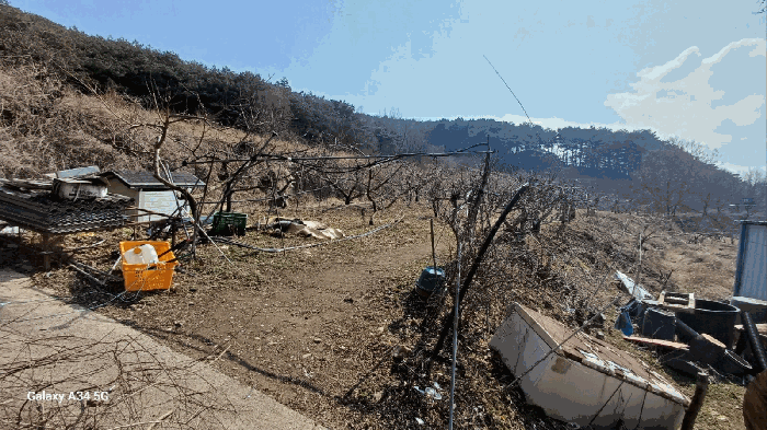 일련번호 3) 지상 과수목