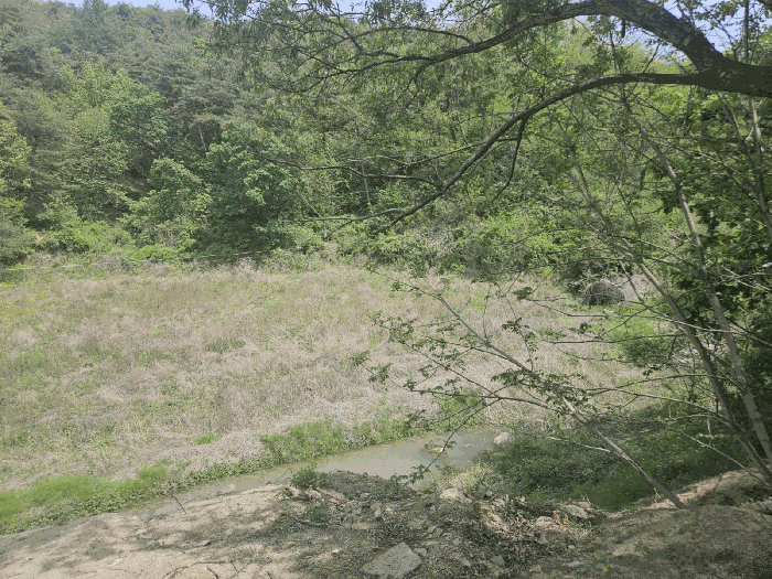 본건전경(2)