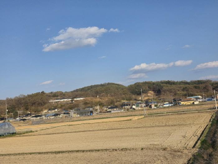 기호1번 전경