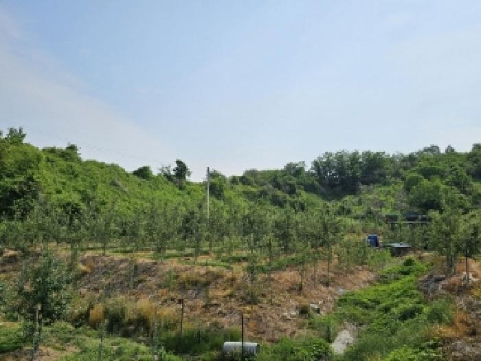 기호2번 전경 및 과수목