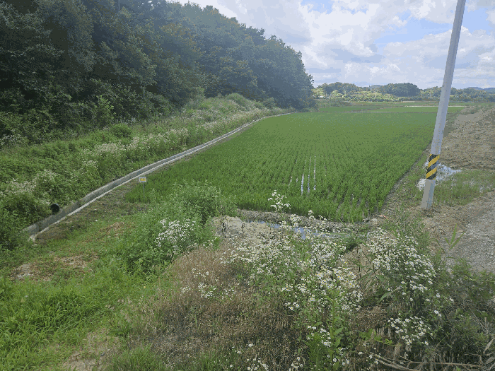 본건전경