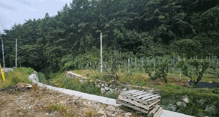 2025타경11054