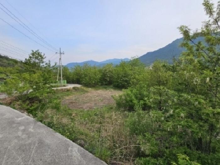 기호1번 전경