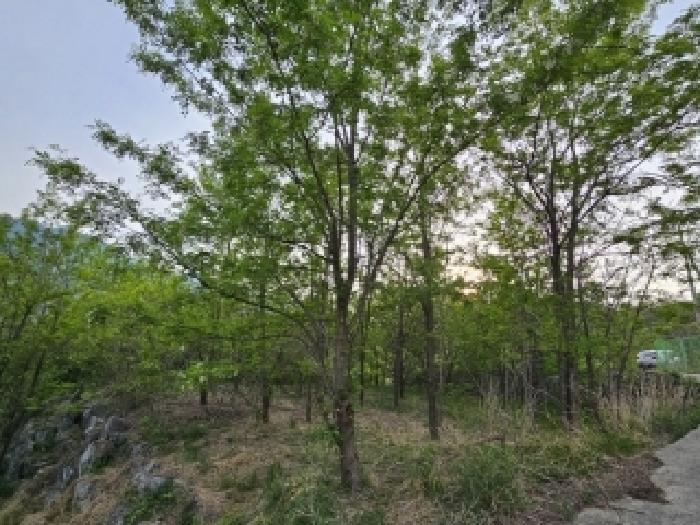 기호1번 전경