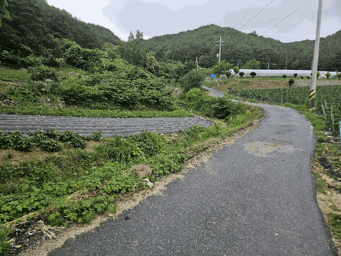 본건기호(1)