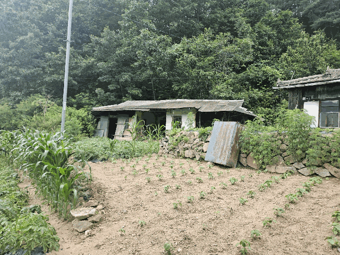 제시외건물(ㄴ)