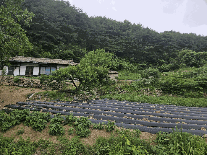 본건기호(1)