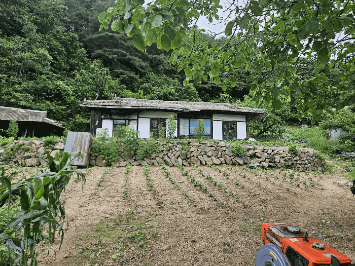 본건기호(2)