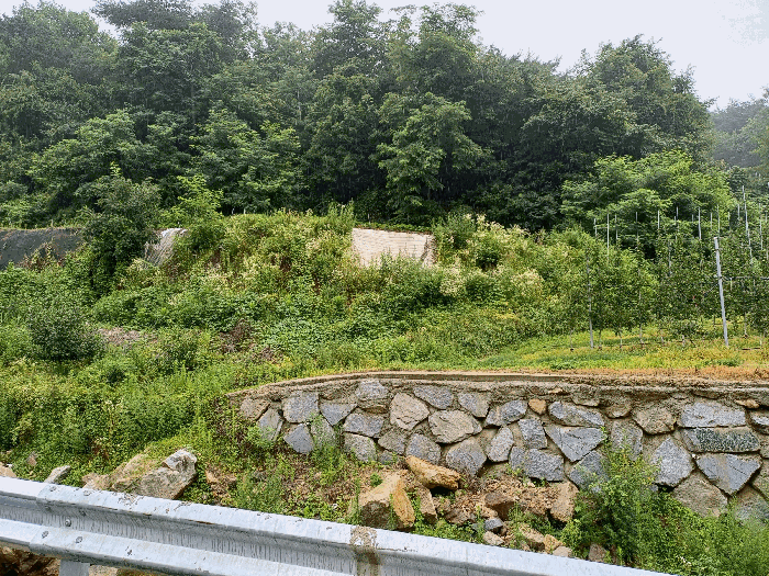 본건