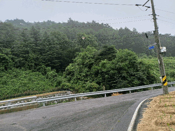 본건