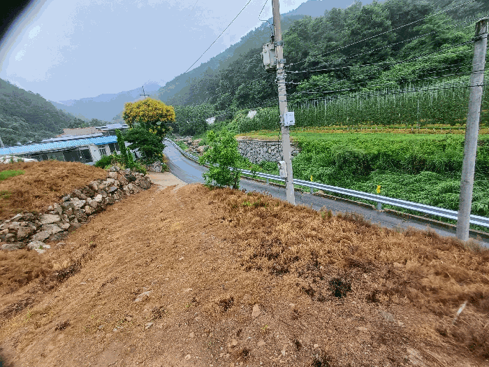 본건 주변 전경
