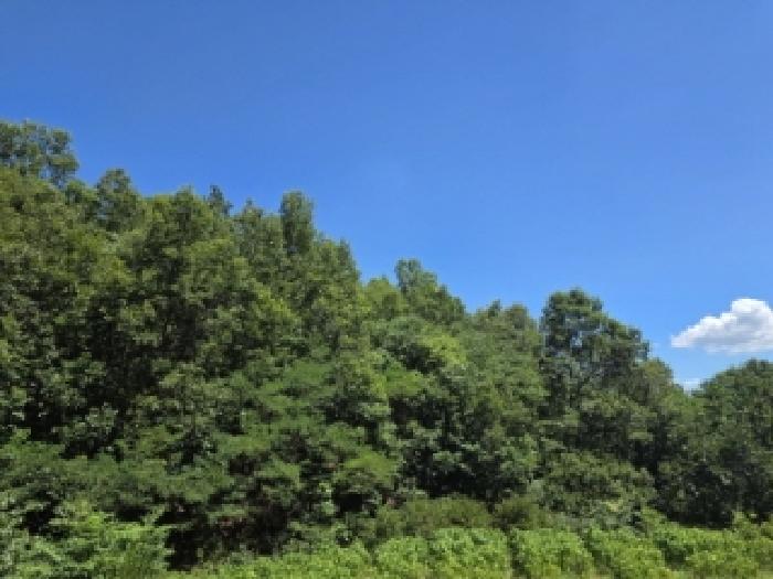 기호1번 전경